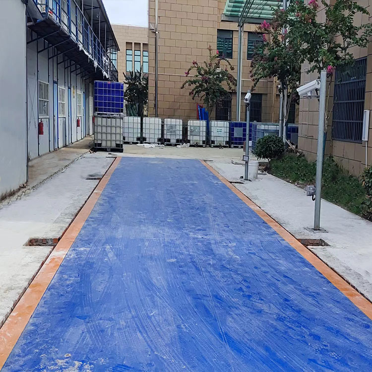 防干擾地磅